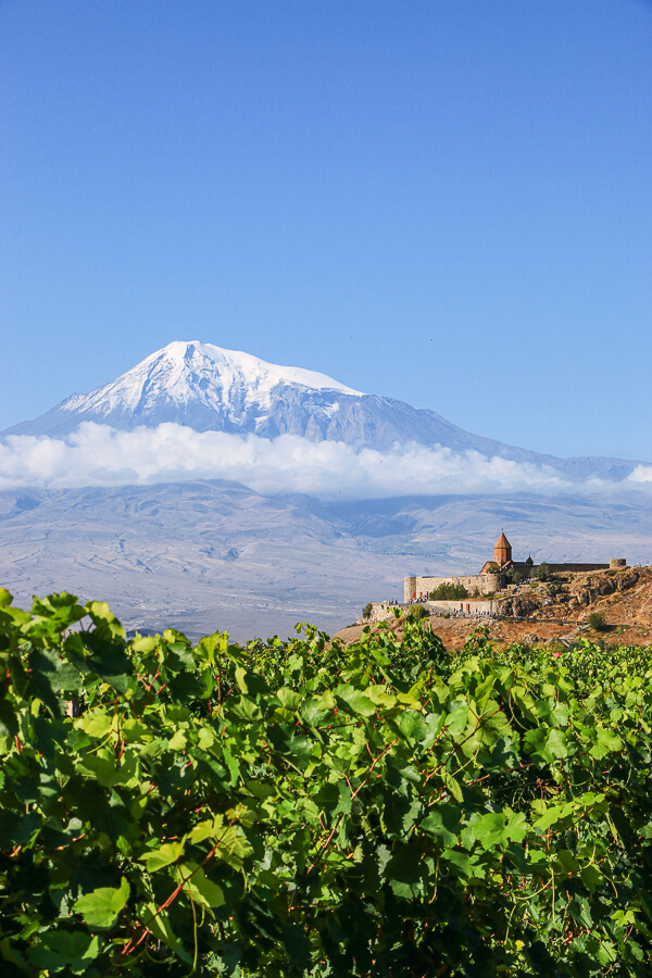 Vue sur Khor Virap depuis les vignes et Mont Ararat