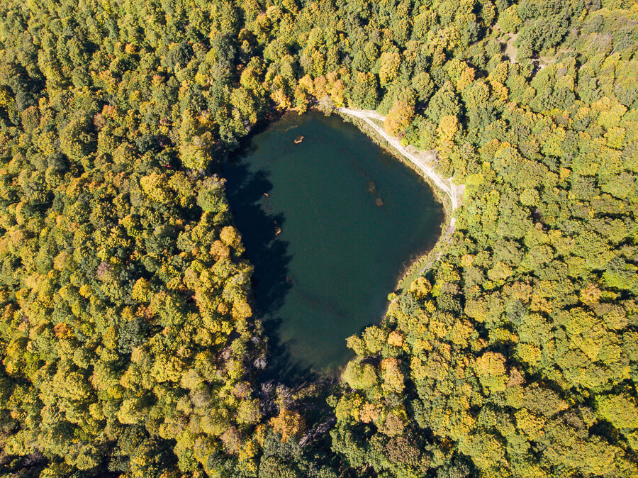 Lac Gosh vue du ciel en drone entouré de forêt, Dilijan