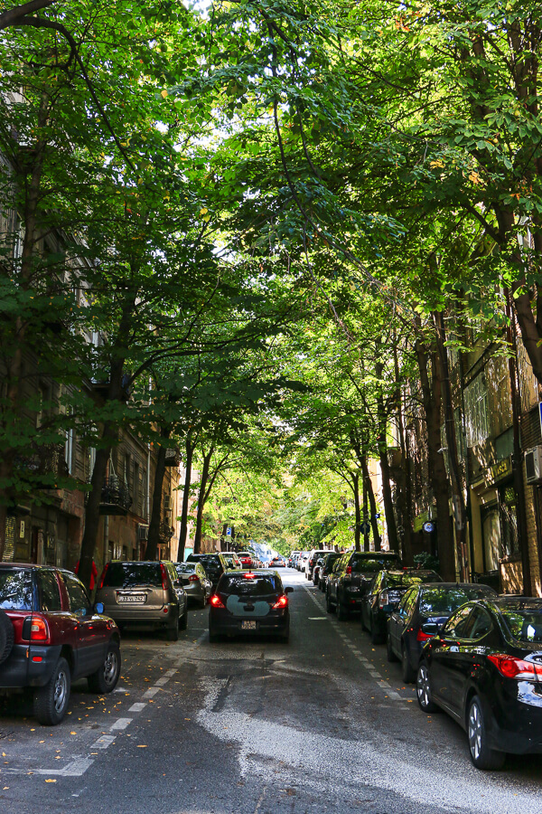 rue avec les arbres du quartier de vera