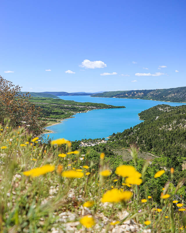 lac de sainte croix et fleurs verdon