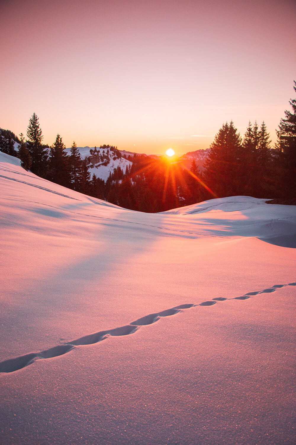 coucher de soleil dans la neige plateau des glières